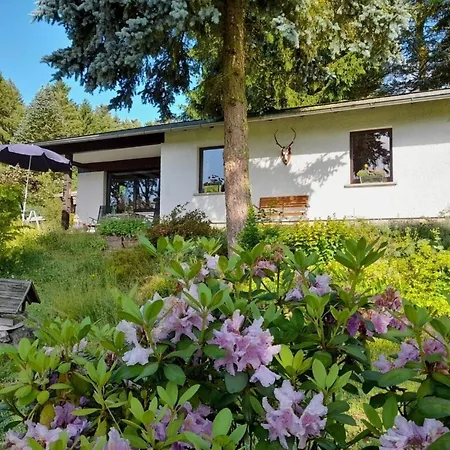 Holiday home Am Wald Gelegenes Wolf Mit Kamin By Interhome Bad Elster