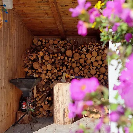 Am Wald Gelegenes Wolf Mit Kamin By Interhome Holiday home
