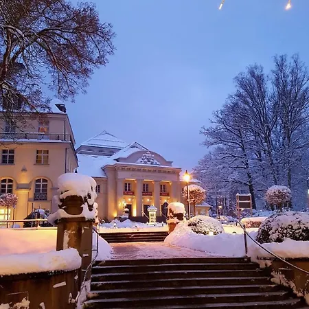 Am Wald Gelegenes Wolf Mit Kamin By Interhome Bad Elster