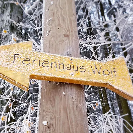 Am Wald Gelegenes Wolf Mit Kamin By Interhome Bad Elster